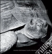 Voglio una tartaruga terrestre