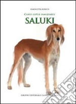 Canis lupus familiaris. Saluki