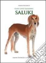 Canis lupus familiaris. Saluki libro