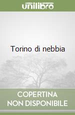 Torino di nebbia libro