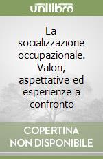 La socializzazione occupazionale. Valori, aspettative ed esperienze a confronto libro