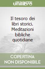 Il tesoro dei libri storici. Meditazioni bibliche quotidiane libro