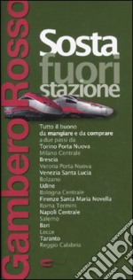 Sosta fuori stazione libro