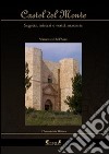 Castel del Monte. Segreti, misteri e verità nascoste libro di Dell'Aere Vincenzo