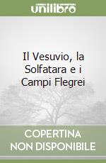 Il Vesuvio, la Solfatara e i Campi Flegrei libro