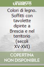 Colori di legno. Soffitti con tavolette dipinte a Brescia e nel territorio (secoli XV-XVI) libro