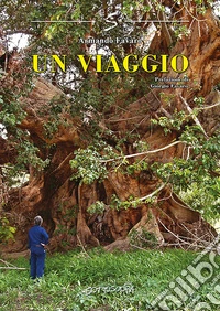 Un viaggio