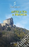 Antica via di Francia libro