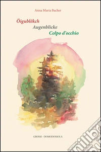 Öigublêkch. Augenblicke-Colpo d'occhio. Ediz. bilingue libro