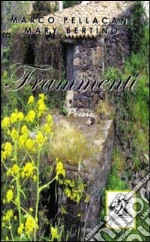 Frammenti libro