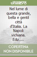 Nel lume di questa grande, bella e gentil città d'Italia. La Napoli vichiana. Ediz. illustrata libro