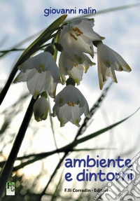 Ambiente e dintorni