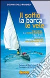 Il soffio, la barca, le vele. I movimenti e le nuove comunità nella chiesa e cento risposte sulla comunità di Papa Giovanni XXIII libro