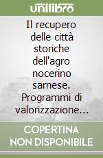 Il recupero delle città storiche dell'agro nocerino sarnese. Programmi di valorizzazione e piani del colore per l'edilizia storica ai sensi della.. Con CD-ROM