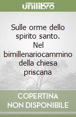 Sulle orme dello spirito santo. Nel bimillenariocammino della chiesa priscana libro