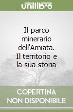 Il parco minerario dell'Amiata. Il territorio e la sua storia libro