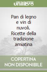 Pan di legno e vin di nuvoli. Ricette della tradizione amiatina libro