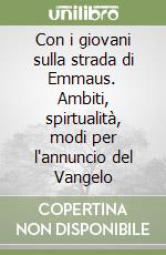 Con i giovani sulla strada di Emmaus. Ambiti, spirtualità, modi per l'annuncio del Vangelo libro