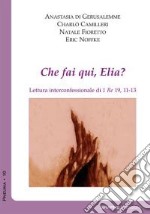 Che fai qui, Elia? Lettura interconfessionale di 1Re 19,11-13