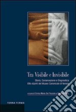 Tra visibile e invisibile libro