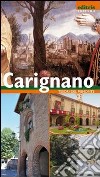 Guida-ritratto della città di Carignano libro