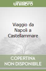 Viaggio da Napoli a Castellammare libro