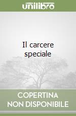 Il carcere speciale