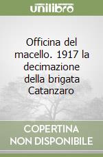 Officina del macello. 1917 la decimazione della brigata Catanzaro libro