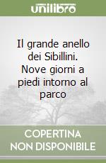 Il grande anello dei Sibillini. Nove giorni a piedi intorno al parco libro