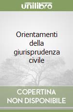 Orientamenti della giurisprudenza civile libro