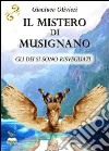 Il mistero di Musignano. Gli dei si sono risvegliati libro