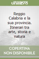 Reggio Calabria e la sua provincia. Itinerari tra arte, storia e natura libro