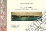 Pellaro 1903... e il mistero di un pittore fantasma a Reggio Calabria. Ediz. illustrata libro