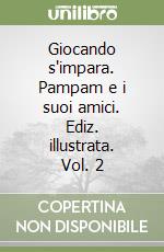 Giocando s'impara. Pampam e i suoi amici. Ediz. illustrata. Vol. 2 libro