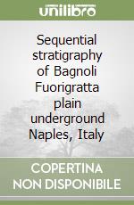 Sequential stratigraphy of Bagnoli Fuorigratta plain underground Naples, Italy libro