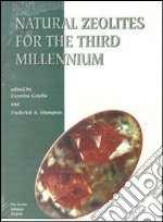 Natural zeolites for the third millennium libro