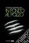 In fondo al pozzo libro