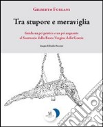 Tra stupore e meraviglia. Guida un po' pratica e un po' sognante al santuario della beata Vergine delle Grazie libro