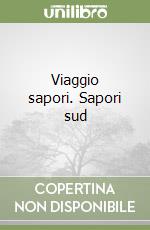 Viaggio sapori. Sapori sud libro