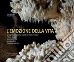 L'emozione della vita. La scoperta della Grotta Grande del Vento a Frasassi-l'abisso Ancona-la prima discesa-le esplorazioni-il secondo ingresso