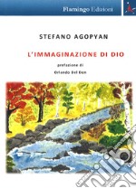 L'immaginazione di Dio libro