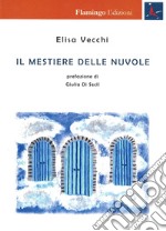 Il mestiere delle nuvole libro