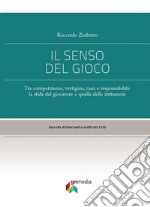 Il senso del gioco. Tra competizione, vertigine, caso e responsabilità: la sfida del giocatore e quella delle istituzioni