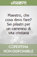 Maestro, che cosa devo fare? Sei pilastri per un cammino di vita cristiana