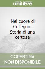 Nel cuore di Collegno. Storia di una certosa