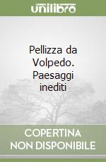 Pellizza da Volpedo. Paesaggi inediti libro