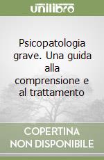 Psicopatologia grave. Una guida alla comprensione e al trattamento libro