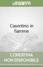 Casentino in fiamme libro