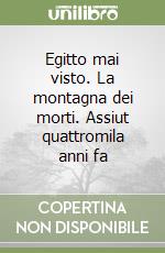 Egitto mai visto. La montagna dei morti. Assiut quattromila anni fa libro