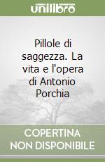 Pillole di saggezza. La vita e l'opera di Antonio Porchia libro